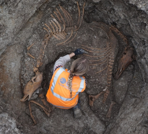 School children from Burwell dressed in construction PPE visiting an archaeological dig where bones from the bronze age are discovered